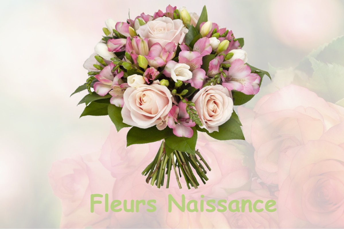 fleurs naissance ENGENVILLE